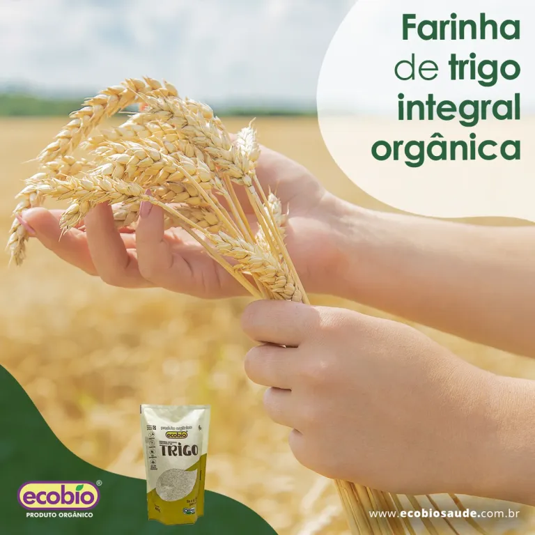 Farinha de Trigo Integral Orgânica